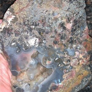 Geological dream Texas Plume Agate shoped naturally like "The Predator" AAA